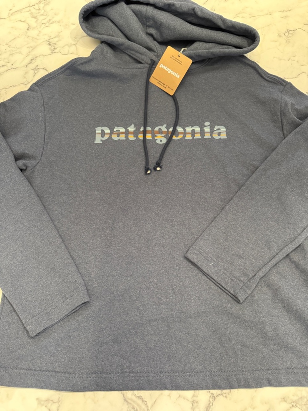 Patagonia Men's Heather Slate Blue Logo Hoodie